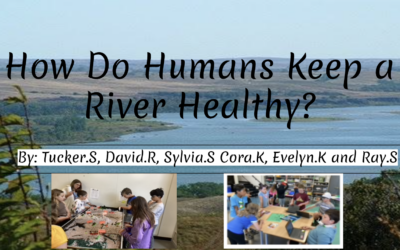 The Human Impact on Rivers of Michigan